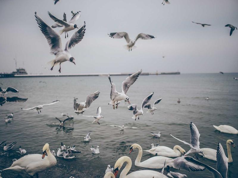 sudoku coffee break screenshot 1