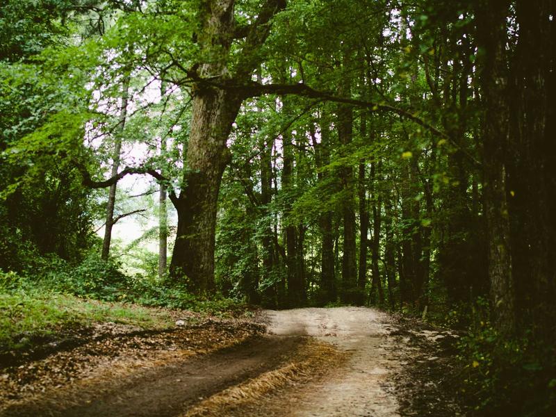 sudoku coffee break screenshot 6